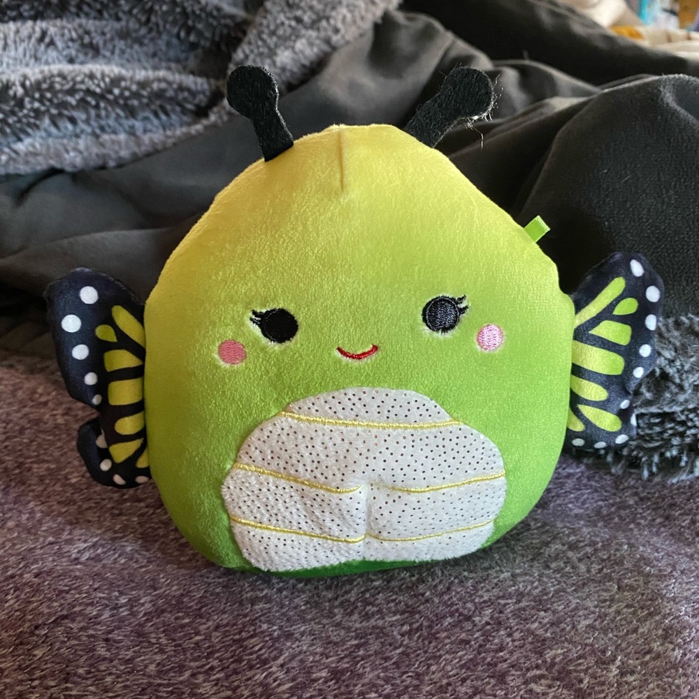 Kristy the green butterfly squishmallow